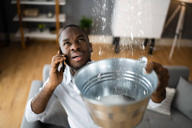 Best Commercial water damage restoration  in Whitmire, SC
