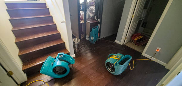  Whitmire, SC Water damage restoration Pros