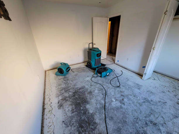 Best Water damage contractors near me  in Whitmire, SC