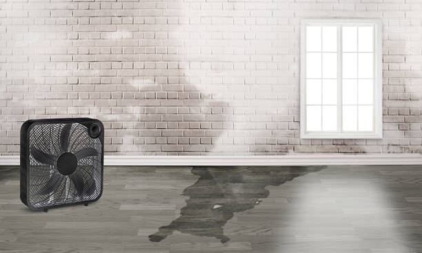 Best Emergency water damage restoration  in Whitmire, SC