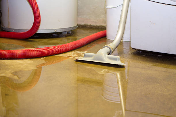 Best Flood restoration services  in Whitmire, SC