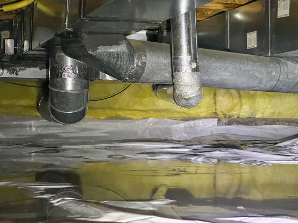 Best Sewage cleanup and water damage restoration  in Whitmire, SC