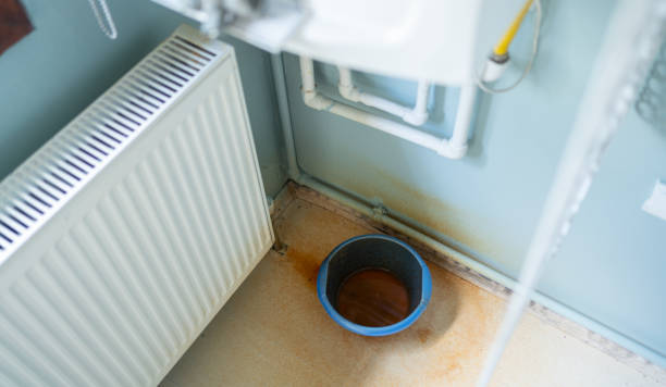 Best Water damage restoration experts  in Whitmire, SC