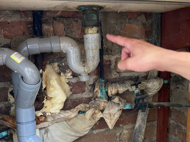Best Water damage restoration near me  in Whitmire, SC