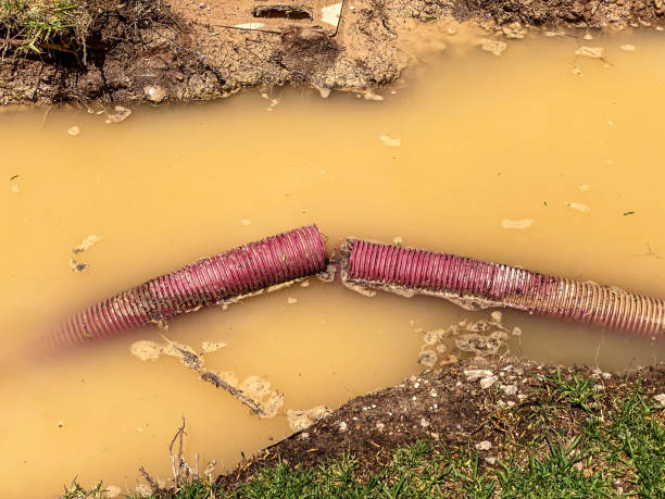 Local water damage restoration in Whitmire, SC